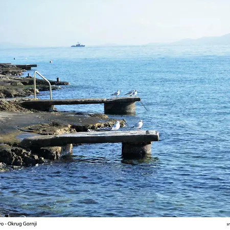 Pogled