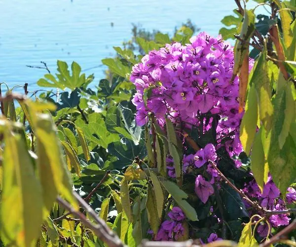 Pogled 公寓